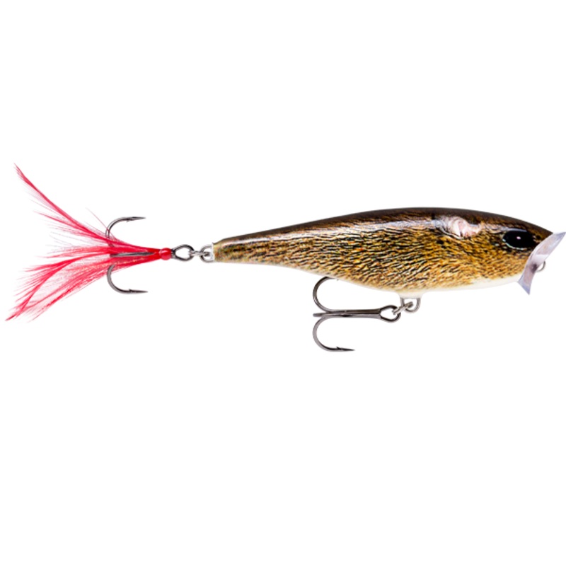 Rapala Skitter Pop 70mm Popper Lure ><